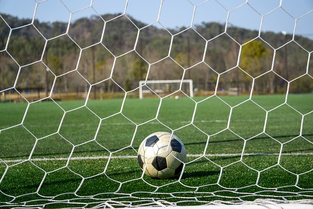 众多羽球产 众多羽球产