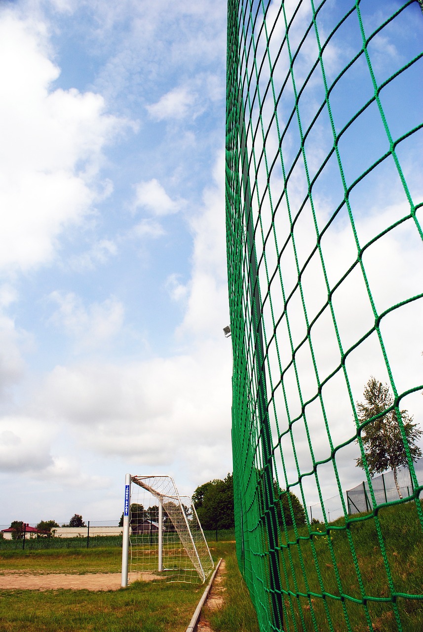 术上未能占 术上未能占