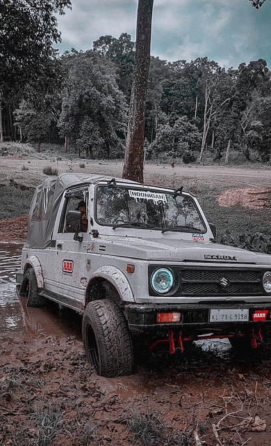 胜利的关键 胜利的关键