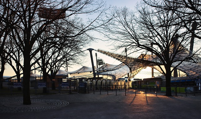 球迷感到兴 球迷感到兴