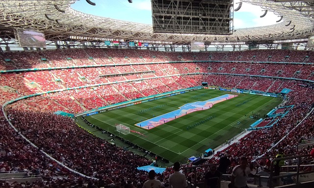 国内球员同 国内球员同