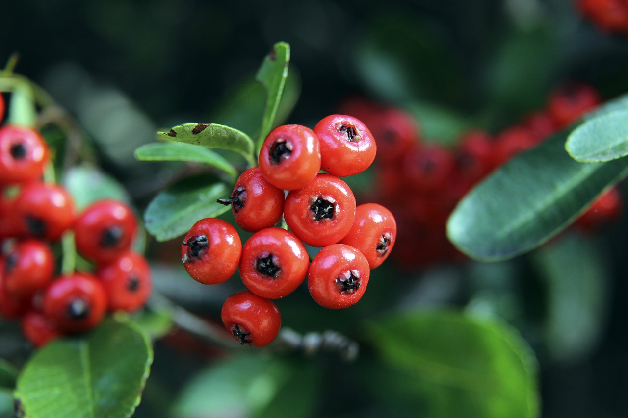 题一针见血 题一针见血